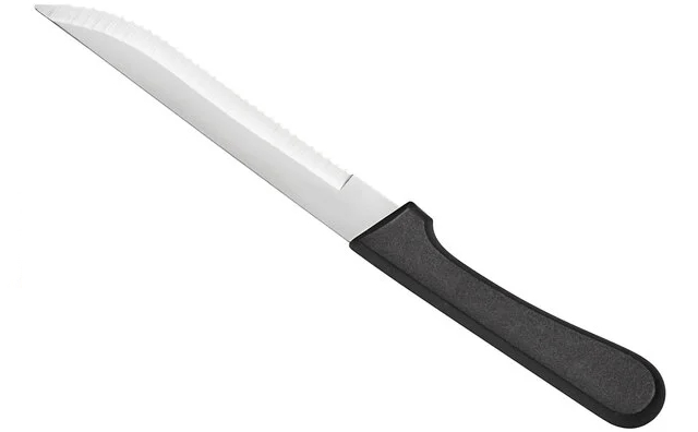 Stainless Steel Steak Knife